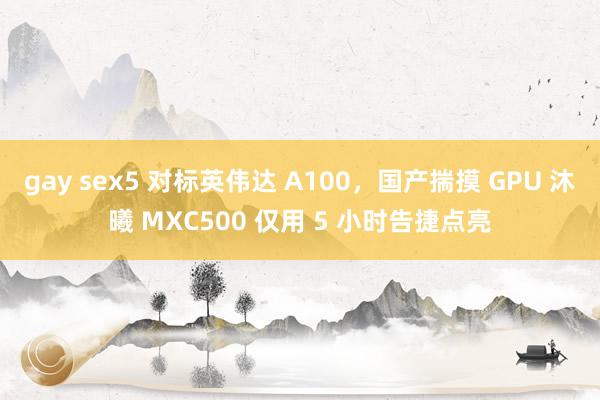 gay sex5 对标英伟达 A100，国产揣摸 GPU 沐曦 MXC500 仅用 5 小时告捷点亮