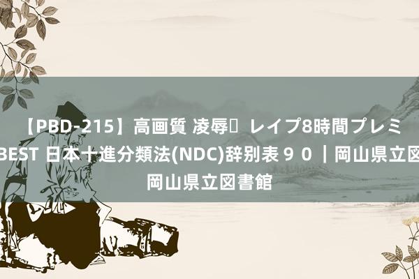 【PBD-215】高画質 凌辱・レイプ8時間プレミアムBEST 日本十進分類法(NDC)辞别表９０｜岡山県立図書館