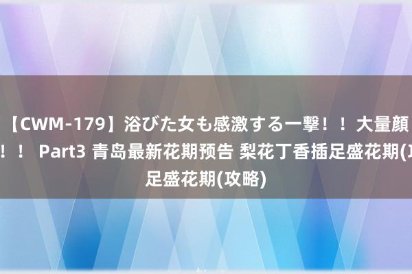 【CWM-179】浴びた女も感激する一撃！！大量顔射！！！ Part3 青岛最新花期预告 梨花丁香插足盛花期(攻略)