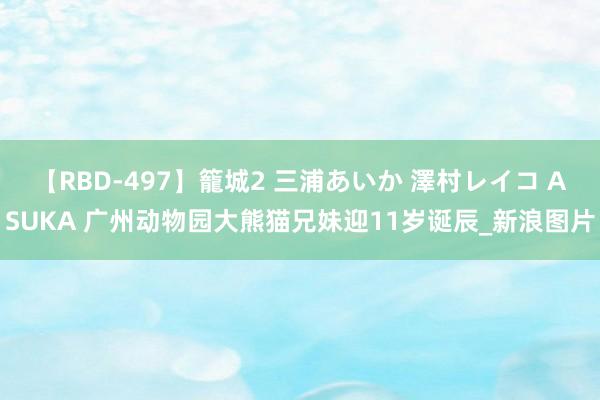 【RBD-497】籠城2 三浦あいか 澤村レイコ ASUKA 广州动物园大熊猫兄妹迎11岁诞辰_新浪图片