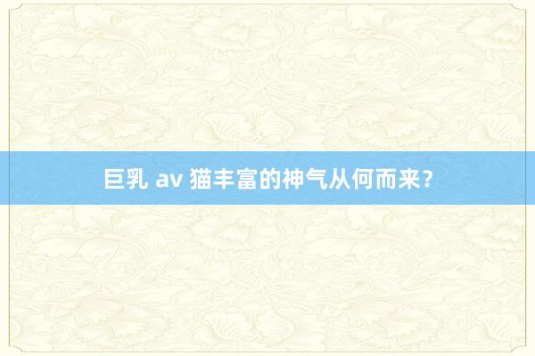 巨乳 av 猫丰富的神气从何而来？