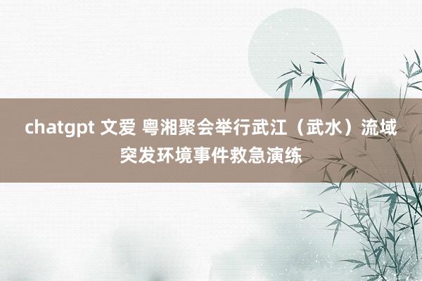 chatgpt 文爱 粤湘聚会举行武江（武水）流域突发环境事件救急演练