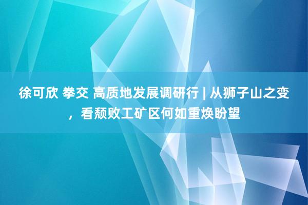 徐可欣 拳交 高质地发展调研行 | 从狮子山之变，看颓败工矿区何如重焕盼望