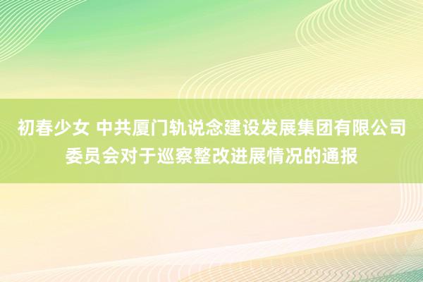 初春少女 中共厦门轨说念建设发展集团有限公司委员会对于巡察整改进展情况的通报