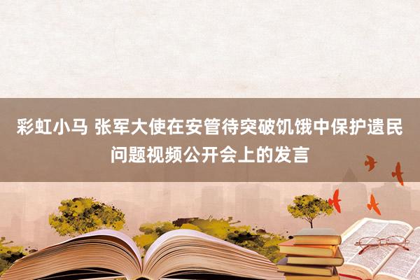 彩虹小马 张军大使在安管待突破饥饿中保护遗民问题视频公开会上的发言